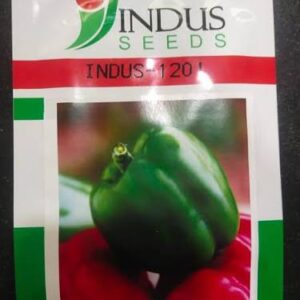 1201 Indus Capsicum Seeds