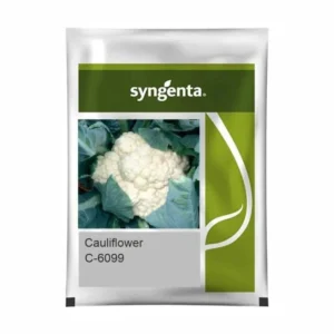 CFL-6099 Sygenta Cauliflower Seeds