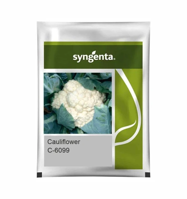 CFL-6099 Sygenta Cauliflower Seeds