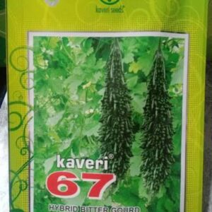 Kaveri 67 No. Bitter Gourd Seeds