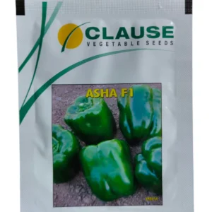 Asha Clause Capsicum Seeds
