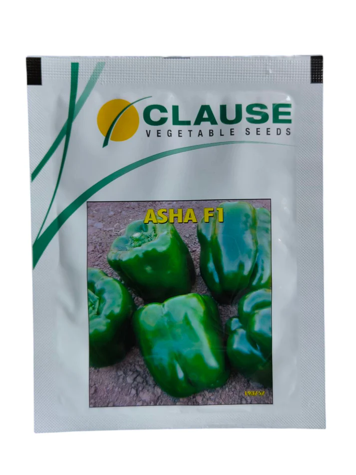 Asha Clause Capsicum Seeds