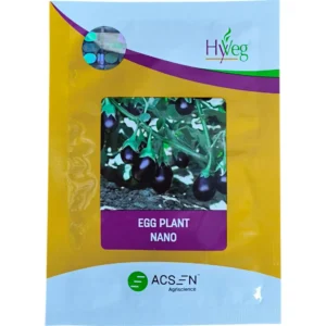Nano Hyveg(ACSEN) Brinjal Seeds