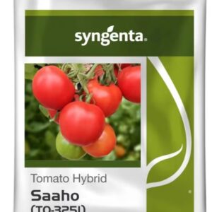 Saaho (TO-3251)  Syngenta Tomato Seeds