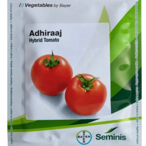 Adiraaj F1 HYBRID Seminis(BAYER) Tomato Seeds