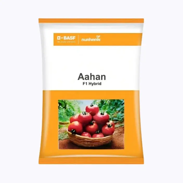 Ahaan BASF (Nunhems) Tomato Seeds