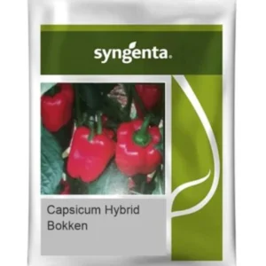 BOKKEN Syngenta Capsicum Seeds(Red Colour)