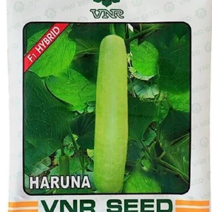 Haruna VNR Bottle Gourd Seeds , Lauki Seeds