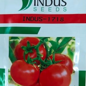 Indus-1718 Tomato Seeds
