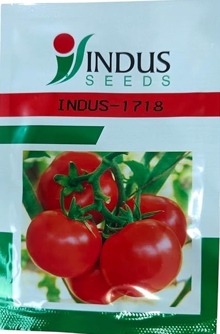 Indus-1718 Tomato Seeds
