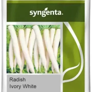 Ivory White Syngenta Radish Seeds