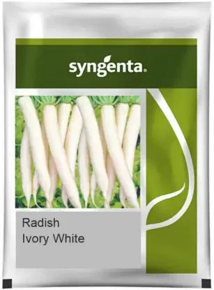 Ivory White Syngenta Radish Seeds