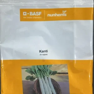 Kanti BASF(Nunhems) Radish Seeds - Palak Patta