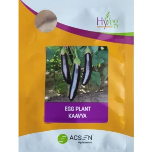 Kaavya ACSEN(Hyveg) Brinjal Seeds