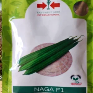 Naga East-West Ridge Gourd Seeds (तोरई बीज)
