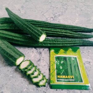Namasvi Kaveri Ridge Gourd Seeds (तोरई)