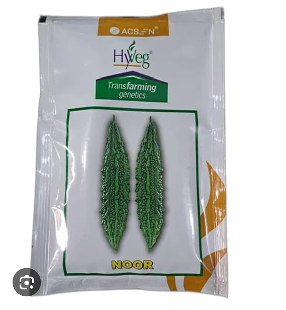 Noor HyVeg(ACSEN) Bitter Gourd Seeds