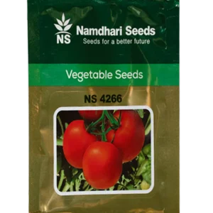 NS-4266 Namdhari F1 Hybrid Tomato Seeds