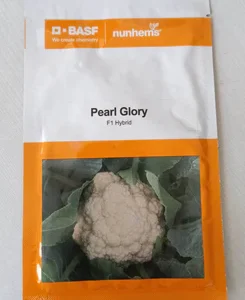 Pearl Glory BASF(Nunhems) Cauliflower Seeds