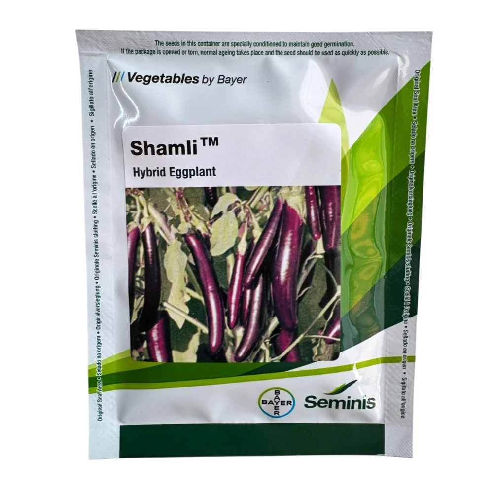 Shamli Seminis(Byer) Brinjal Seeds