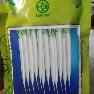 Long Super White Kaveri Radish Seeds