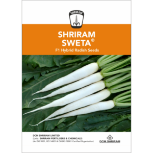 Sweta ShriRam Radish Seeds