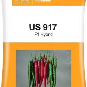 US-917 BASF(Nunhems) Chilli Seeds