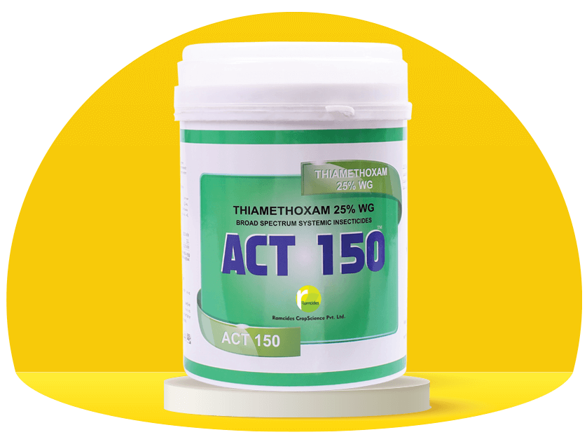 Ramcides ACT 150 Thiamethoxam 25% WG Insecticide
