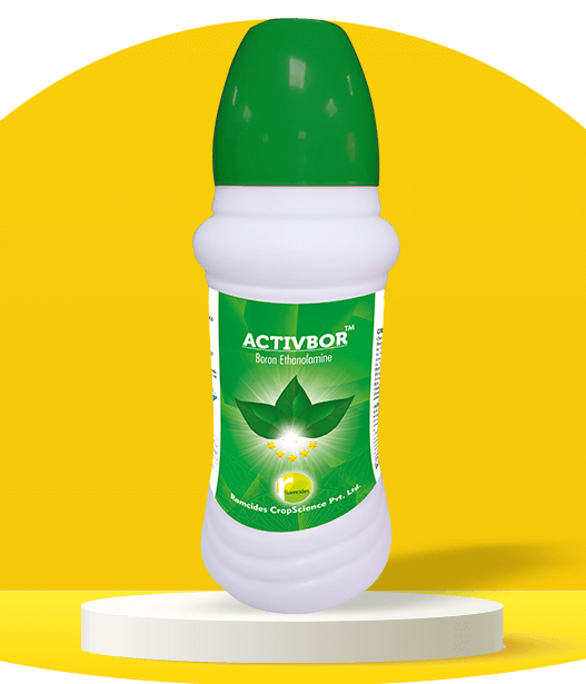 ACTIVBOR | Ramcides Cropscience
