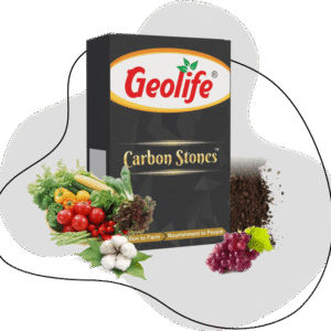 Geolife Carbon Stones