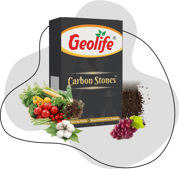 Geolife Carbon Stones