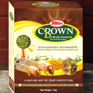 CROWN (Heterorhabdus indica)