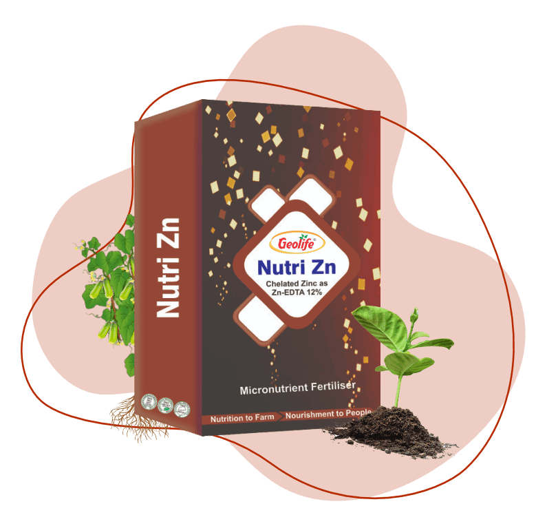 Geolife Nutri Zn (12%) Chelated Zinc
