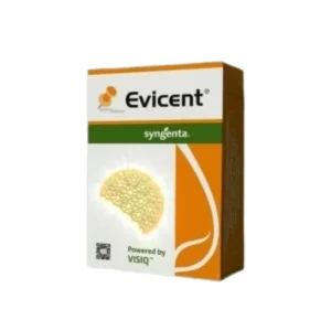 Syngenta Evicent Insecticide