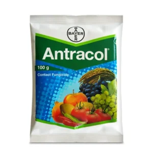 Antracol Fungicide (Propineb 70% WP) for Fungal Diseases