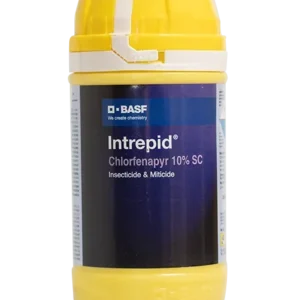 Intrepid Insecticide (Chlorfenapyr 10% SC)