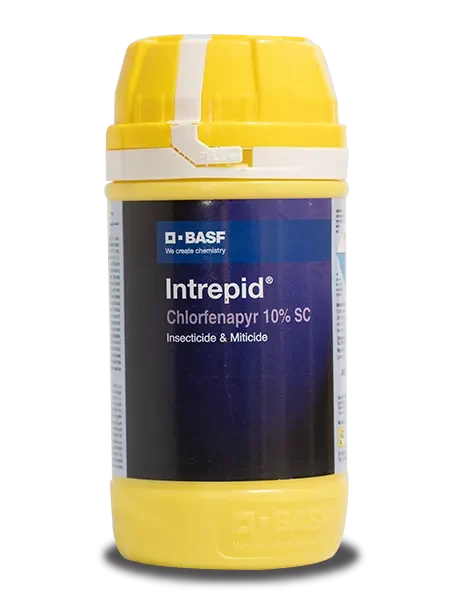 Intrepid Insecticide (Chlorfenapyr 10% SC)
